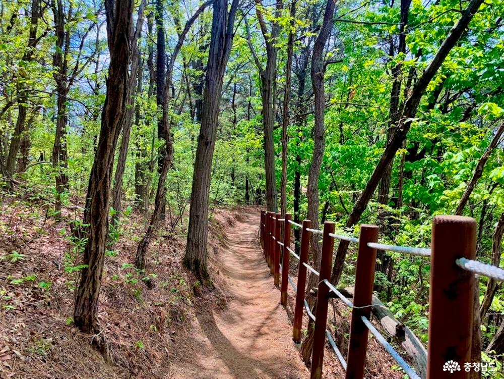 큰매산'의 하산길을 담은 풍경 사진