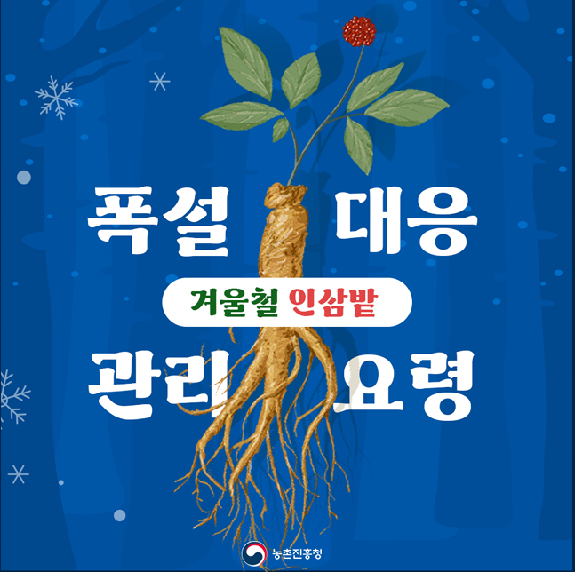 폭설 대응 관리요령