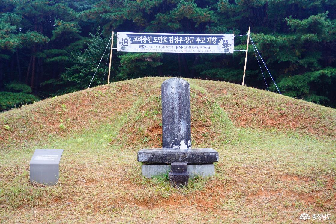 청라 김성우장군 묘소