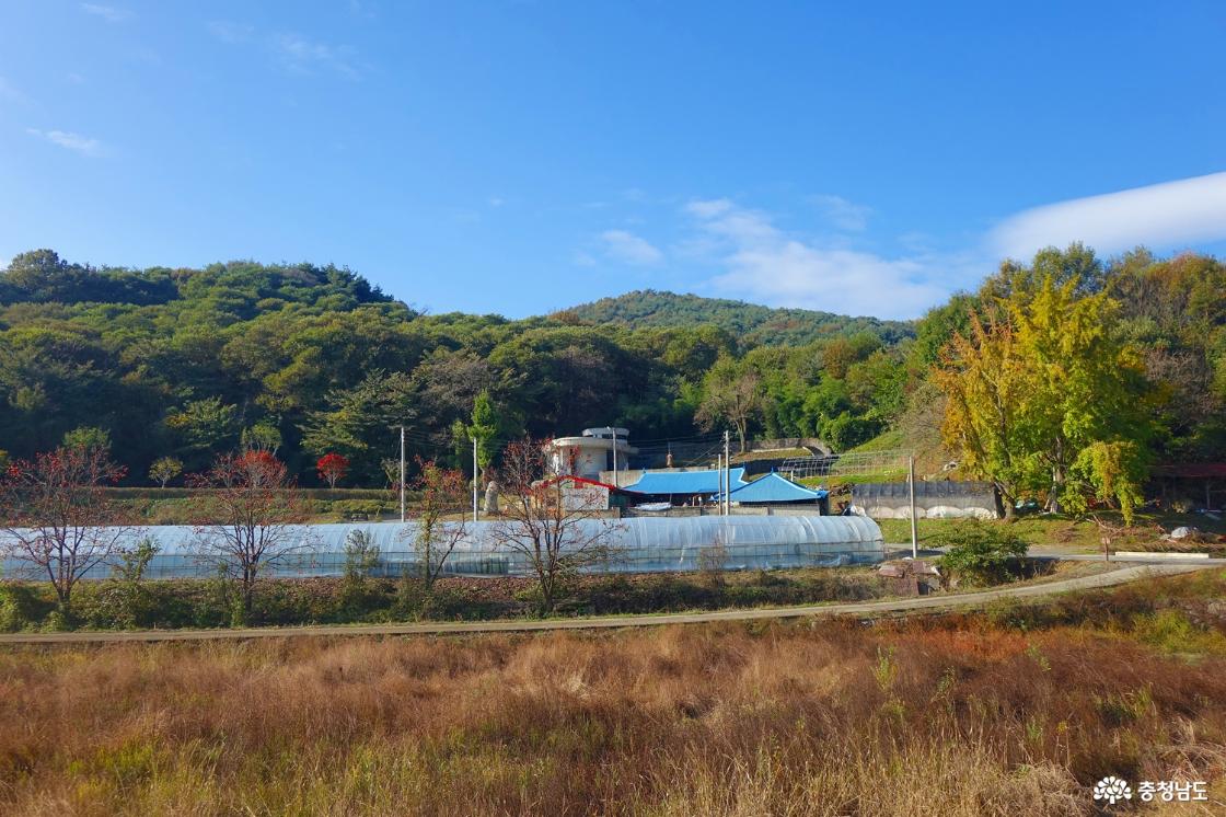 주차장에서 바라본 새터 성지