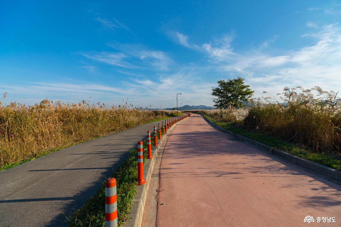 자전거도로와 산책로