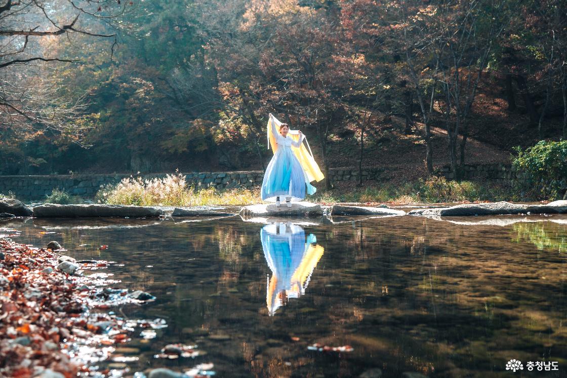 공주가볼만한곳 마곡사 단풍 풍경1