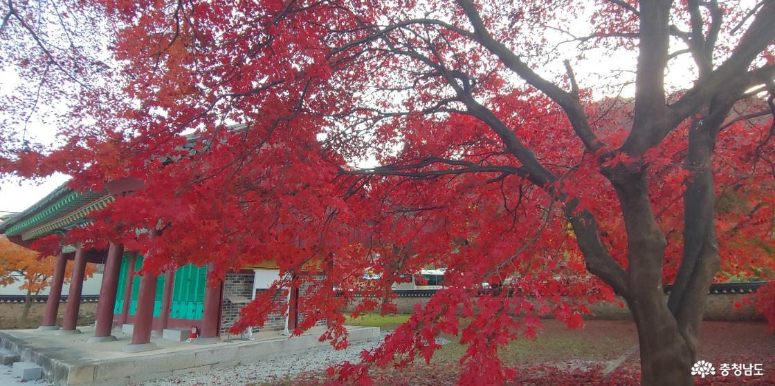 마음에 담아두고 싶은 풍경...충현서원