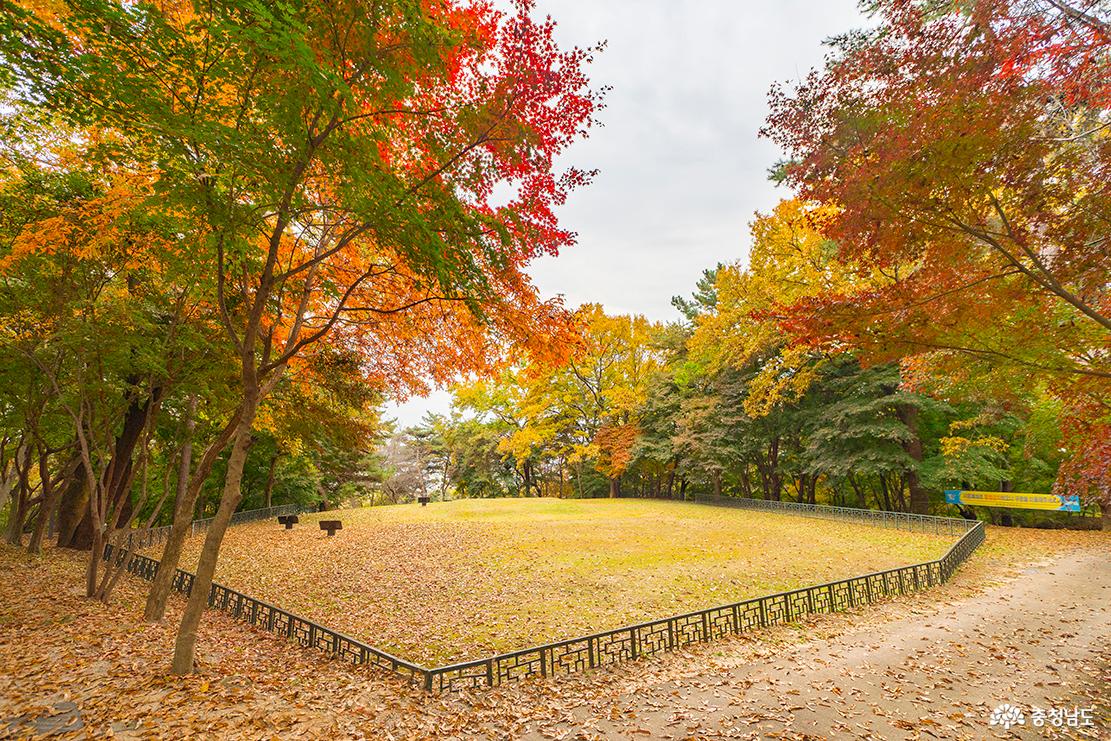 서복사지