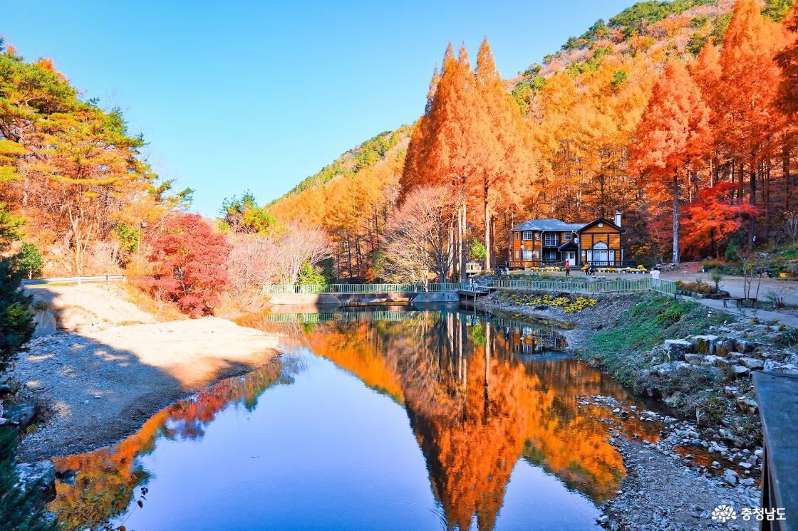 바람이 불지 않는 날, 온빛자연휴양림의 반영