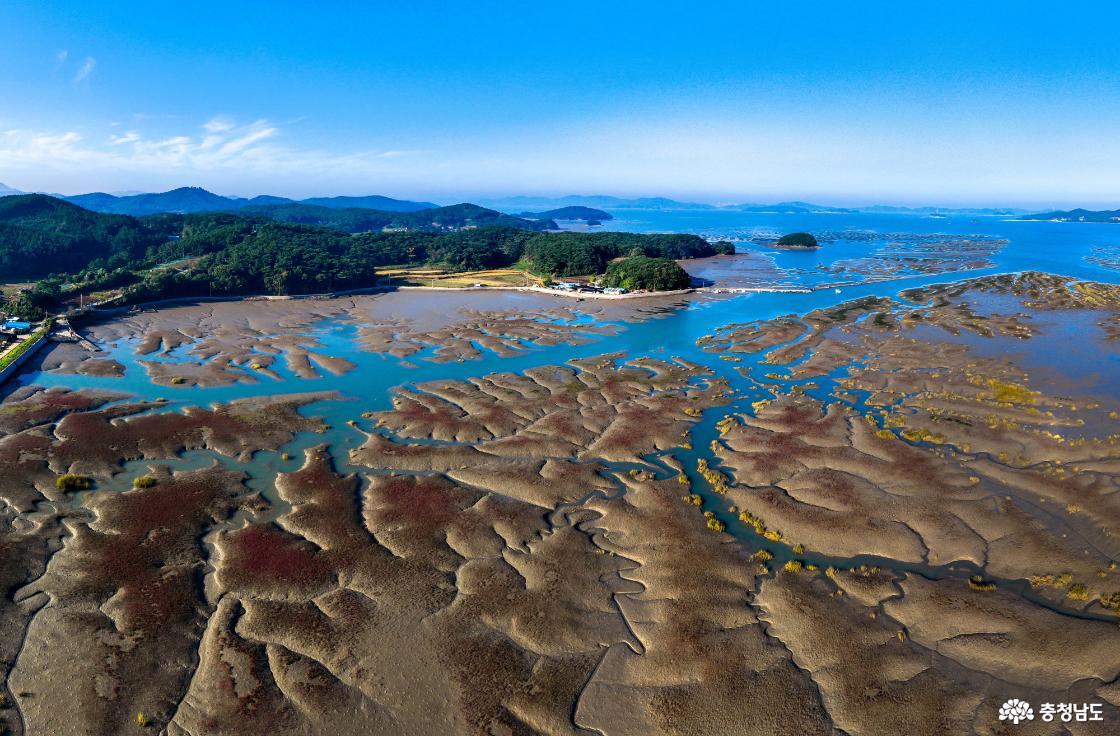 Garolim Bay Tidal Flat