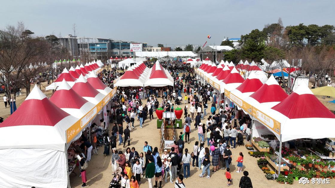 Strawberry Festival