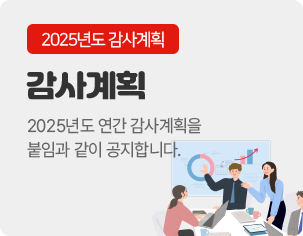 2025년도 감사계획