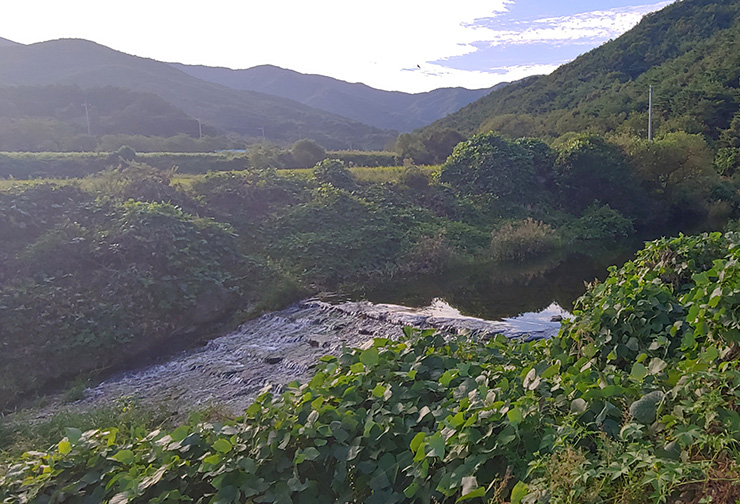 제5곡: 영화담