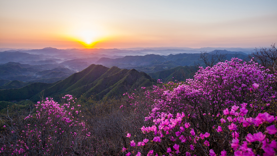 대둔산(봄)