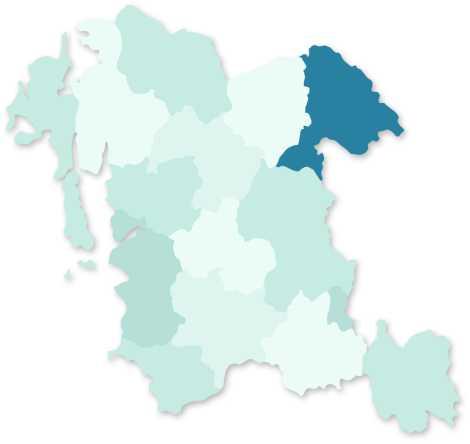 충청남도 천안 지역 활성화 지도