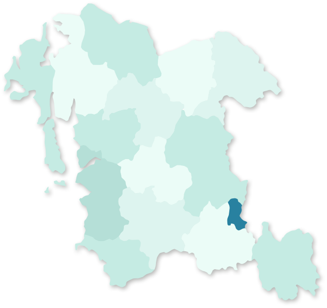 충청남도 계룡 지역 활성화 지도