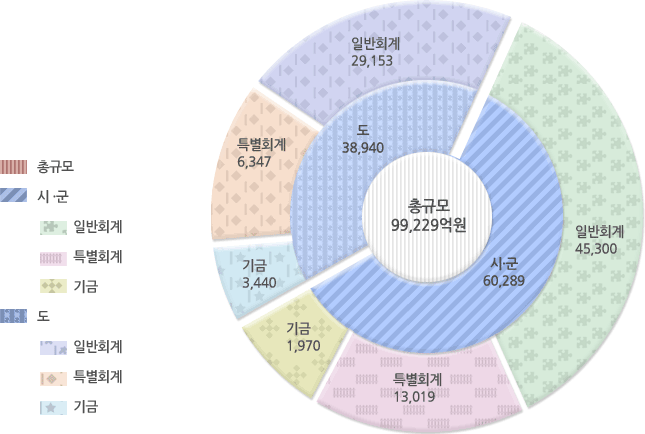 2008년도 재정규모