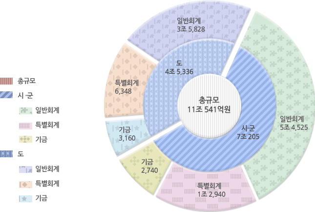 2011년도 재정규모