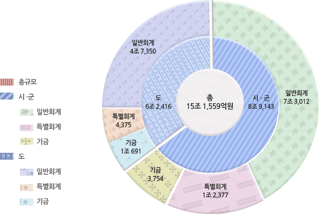 2017년도 재정규모